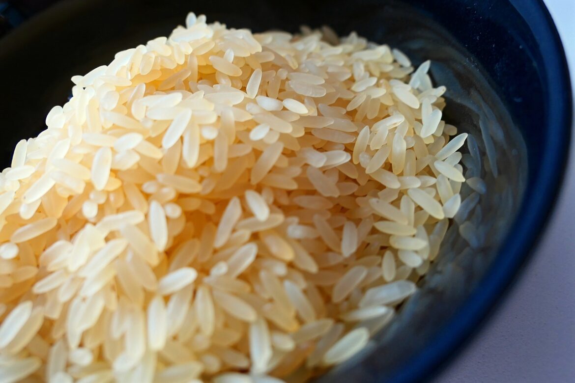 היתרונות הבולטים של סוגי האורז המוכרים והאהובים ביותר